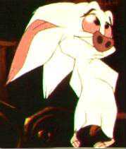 Bartok, Rasputin's bat.